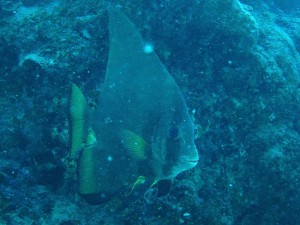 IMG_8775