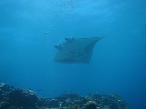 IMG_8792