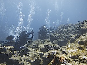 IMG_8797 のコピー