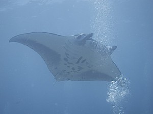 IMG_8801 のコピー