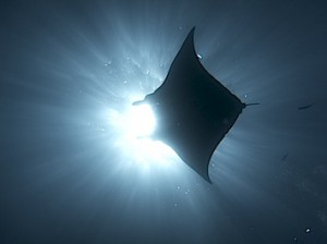 IMG_8804 のコピー