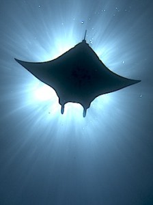 IMG_8805 のコピー