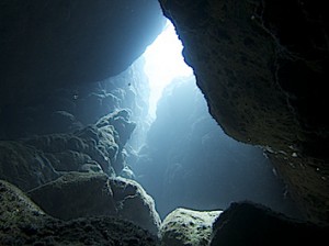IMG_8807 のコピー
