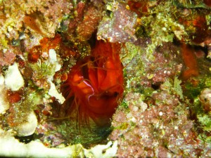 P1110787
