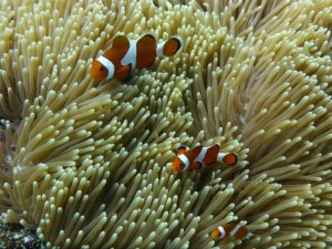 P1110801