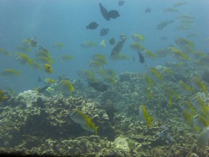 P1110851