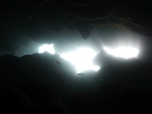 P1110865