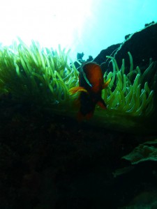 P1110868