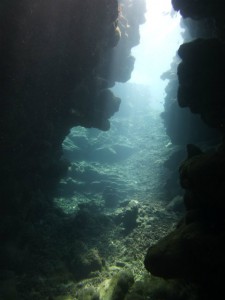 P1110870