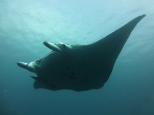 P1110884