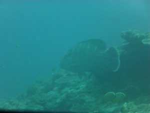 P1110915