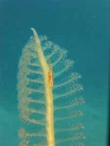 P1120138