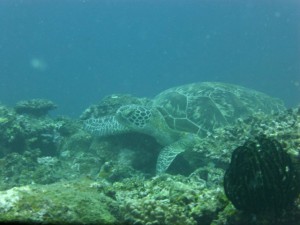 P1120158