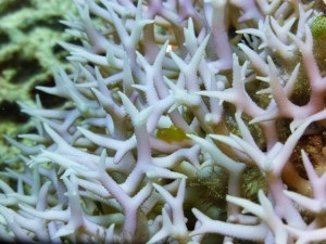 P1120218