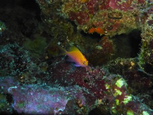 P1120251