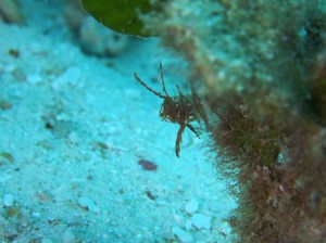 IMG_1598