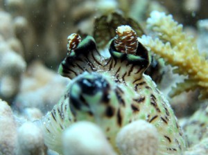 IMG_1608