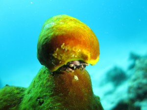 IMG_1622