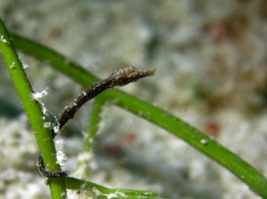 IMG_1626