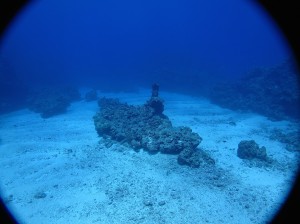 IMG_1629