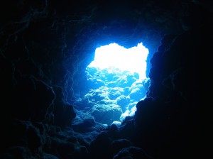 IMG_1639