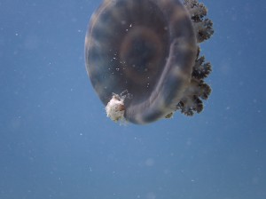 IMG_1648
