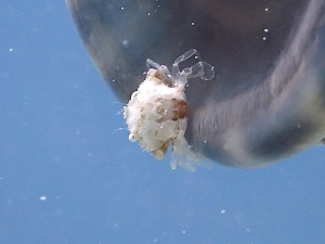 IMG_1671