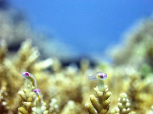 IMG_1723