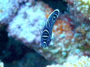 IMG_1760