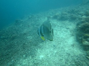 IMG_1771