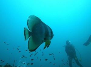 IMG_1773