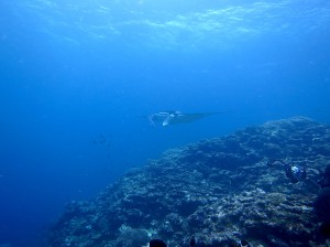 IMG_1801