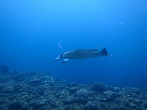 IMG_1803