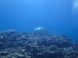 IMG_1806