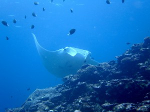IMG_1808