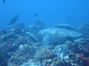 IMG_1813