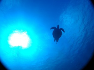 IMG_1820