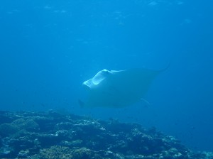 IMG_1828