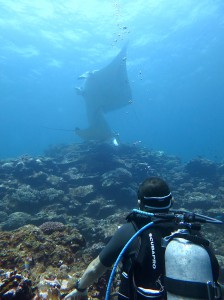 IMG_1831