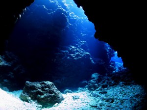 IMG_1850
