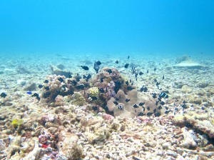 IMG_1859