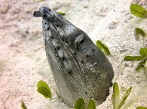 IMG_1860
