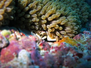 IMG_1865