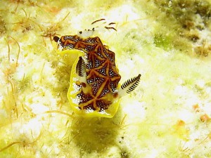 IMG_1875