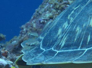 IMG_1901