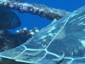 IMG_1903
