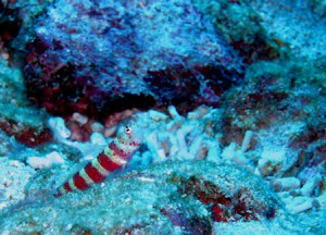 IMG_1905