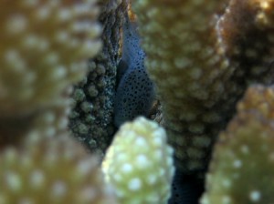 IMG_1908