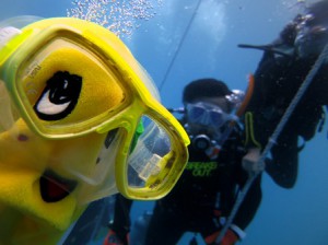 IMG_1934