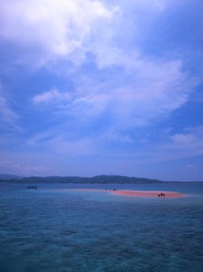IMG_1941